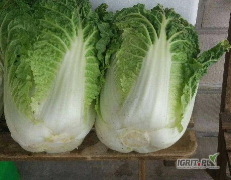 /images/posts/2025/07/2037547/SzS4PwHesk8qiSeOhyrLgVWsovljDxWSmL7rKtY4.jpeg