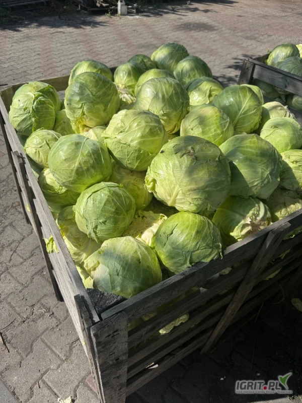 /images/posts/2025/07/2037546/gh1GIyfguf2FdaRYsnUzH45SV0wAHq6gEEn3De6B.jpeg