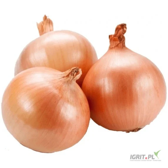 /images/posts/2025/07/2037586/vFwoNRejFN5xCYyCh4B7gOXySXPTknfGR4iF0FBU.jpeg