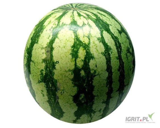/images/posts/2025/07/2037591/nh78vLWdRyc1lZWKdKlsJxGPzMHmFg20ped4WQVI.jpeg