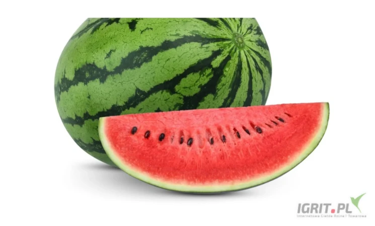 /images/posts/2025/07/2037591/Pi2EGxxZi0WUgN4hjNJZ9j8XRN3W907d9vV4uCvR.jpeg