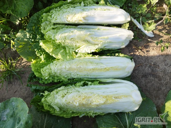 /images/posts/2025/07/2037887/4aQFHWWmJA2BGqBaCgZmD6Ejl3X9MTfSZ4ZYNW5C.jpeg